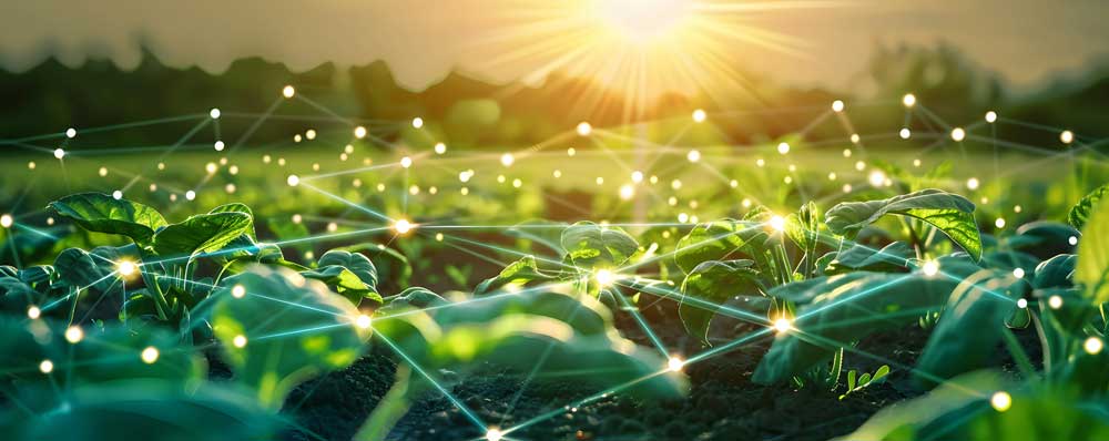 Corvian and Sicredi Partner to Advance Risk Intelligence Across Brazil’s Agricultural Credit Operations