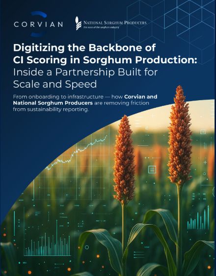 National Sorghum Producers case study image