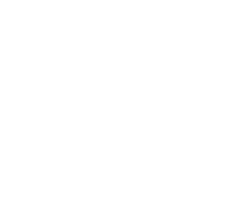 ACE