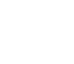 RCIS