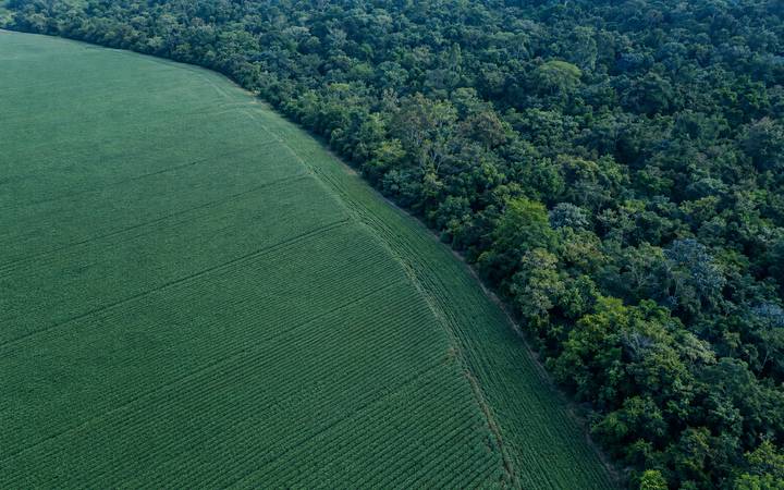 Aerial view of cropland running up against dense forest